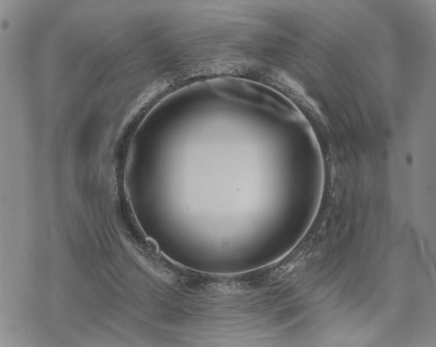 X0000073710250200608031247