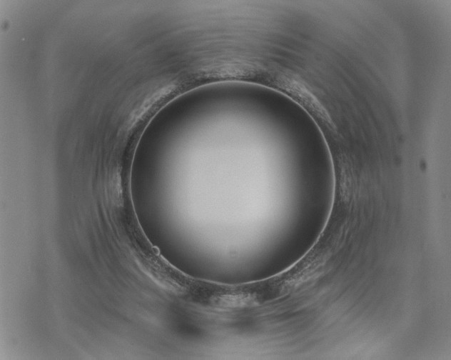 X0000073710251200608031247