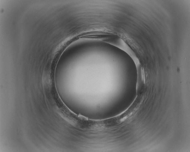 X0000073710252200608031247