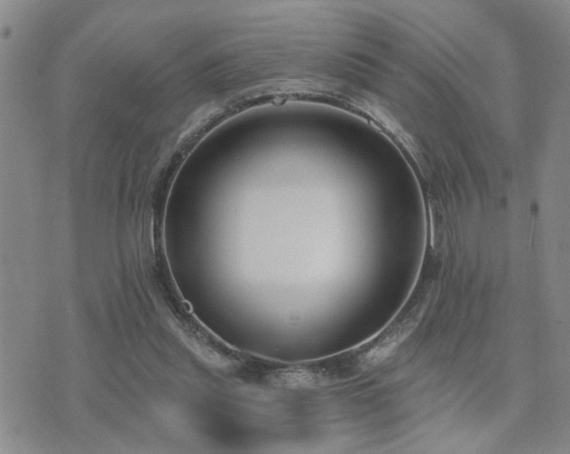 X0000073710253200608031247