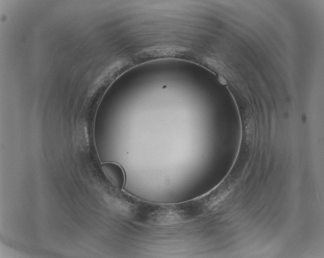 X0000073710254200608031247