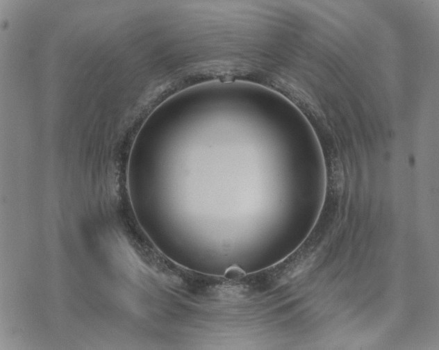 X0000073710255200608031247