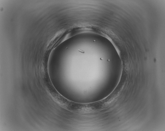 X0000073710256200608031247