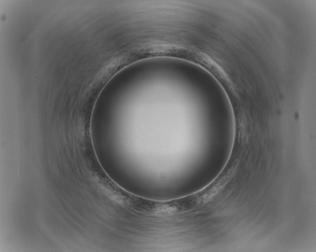 X0000073710257200608031247