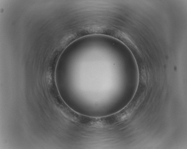 X0000073710259200608031247