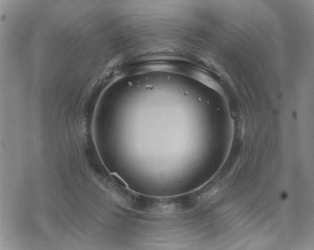 X0000073710260200608031247