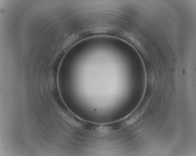 X0000073710261200608031247