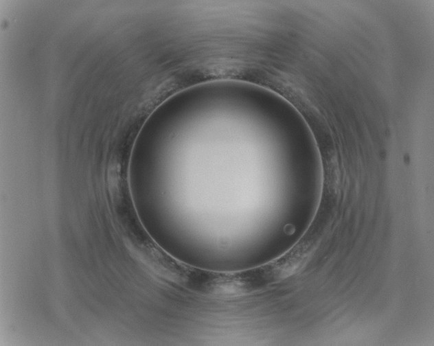 X0000073710263200608031247