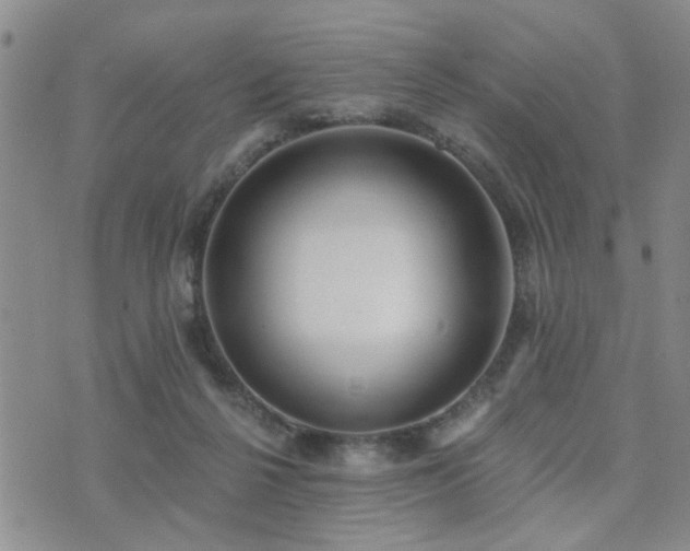 X0000073710264200608031247