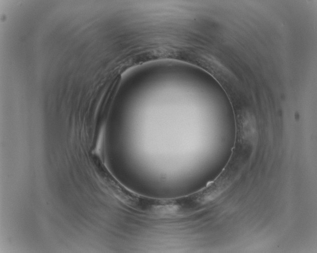 X0000073710266200608031247