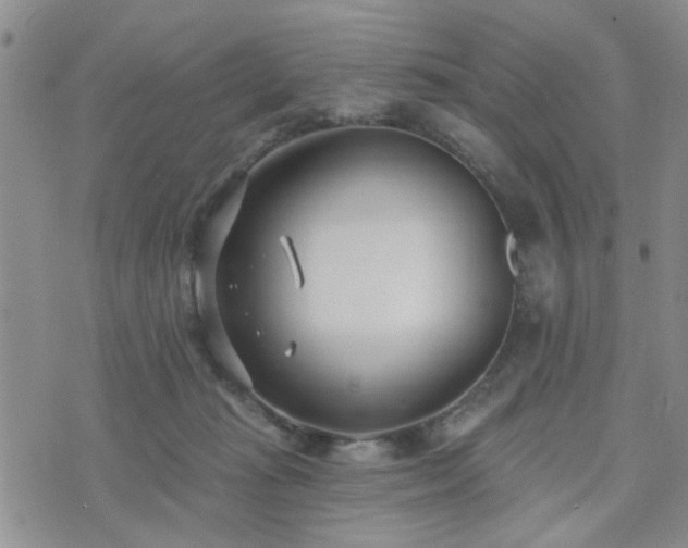 X0000073710269200608031247