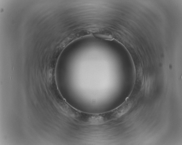 X0000073710271200608031247