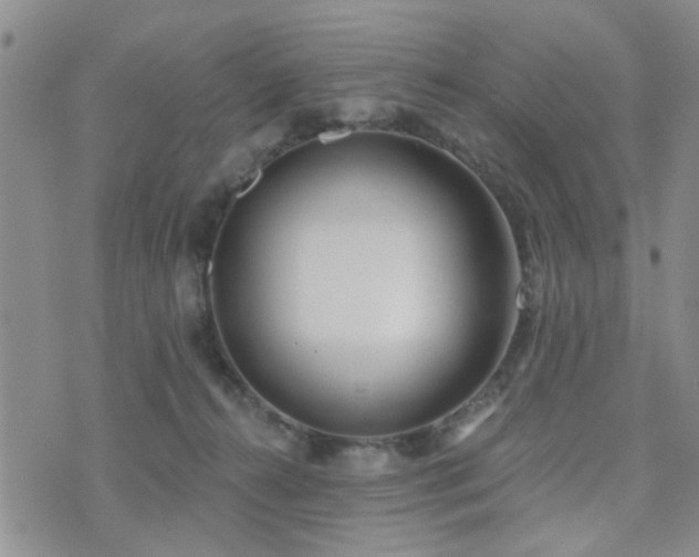 X0000073710272200608031247