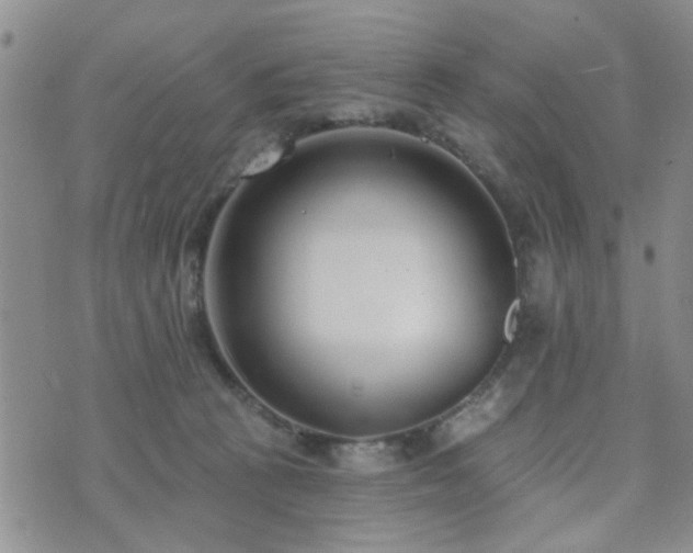 X0000073710273200608031247