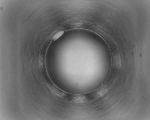 X0000073710274200608031247