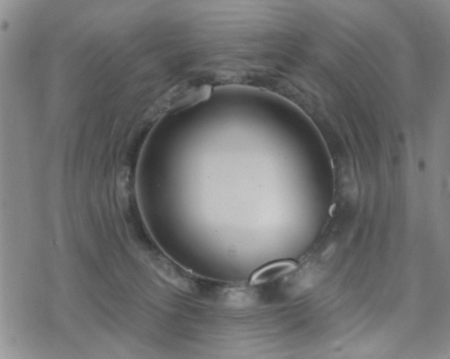 X0000073710275200608031247