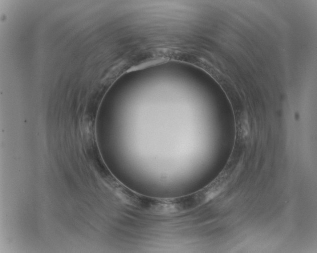 X0000073710276200608031247