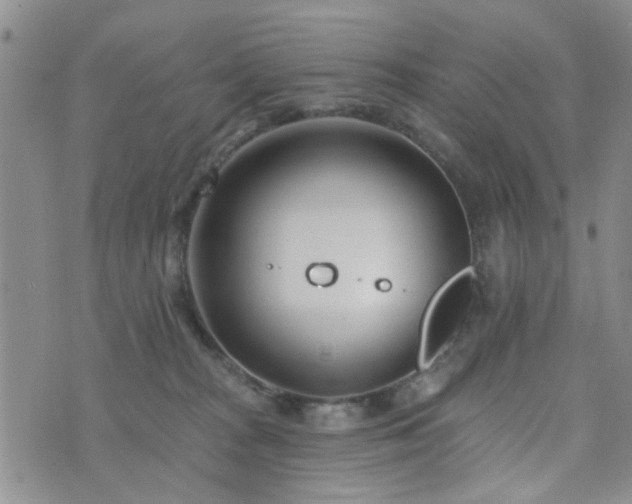 X0000073710277200608031247