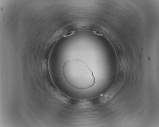 X0000073710278200608031247