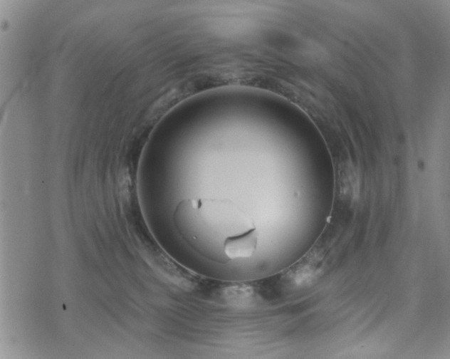 X0000073710279200608031247