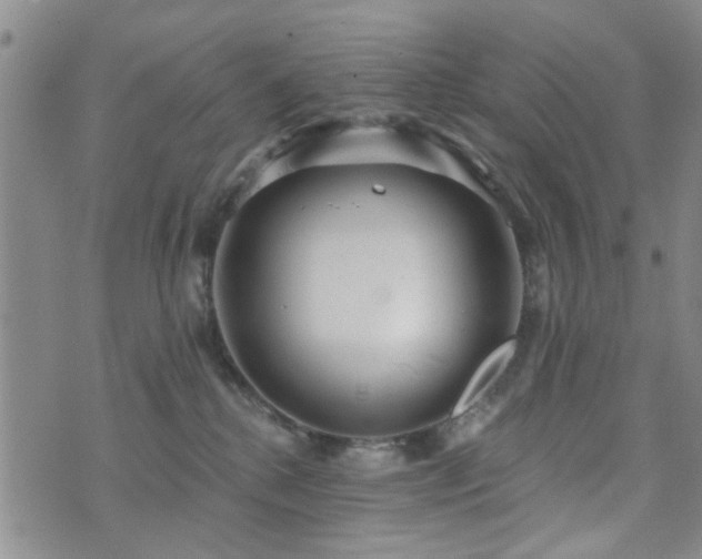 X0000073710280200608031247