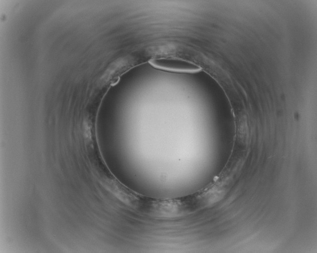 X0000073710282200608031247