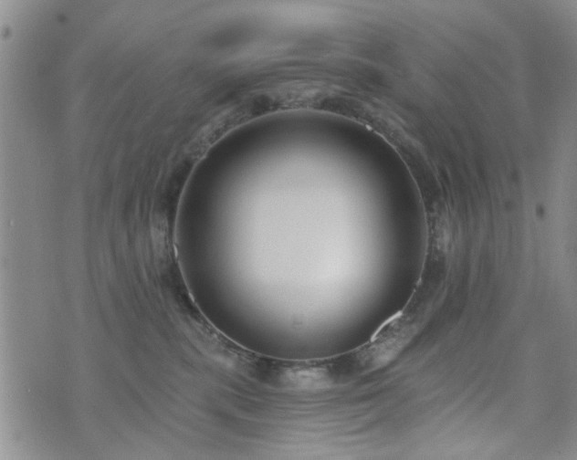 X0000073710283200608031247