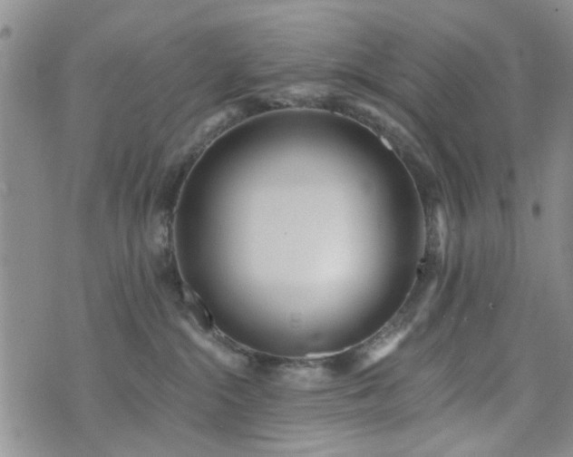 X0000073710284200608031247