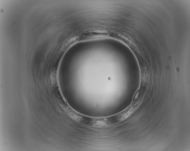 X0000073710285200608031247