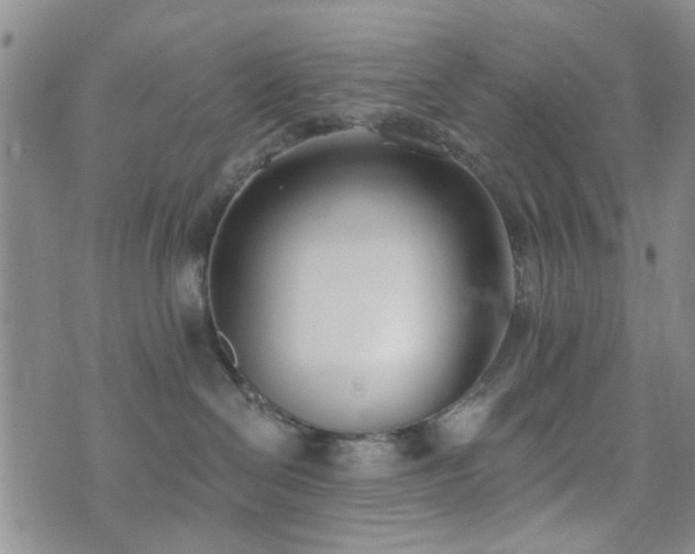 X0000073710286200608031247