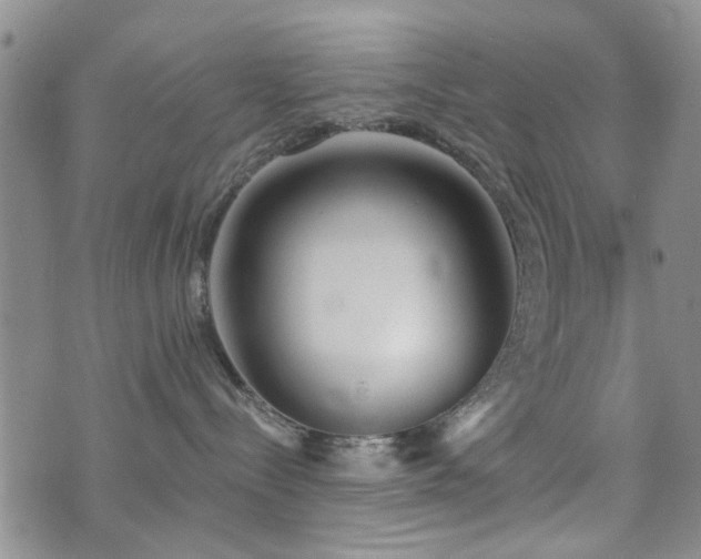 X0000073710288200608031247