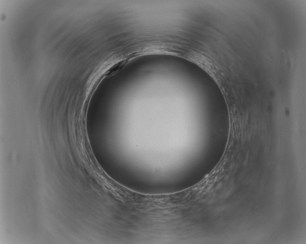 X0000073710289200608031246