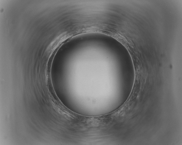 X0000073710290200608031246