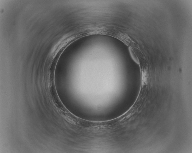 X0000073710291200608031246