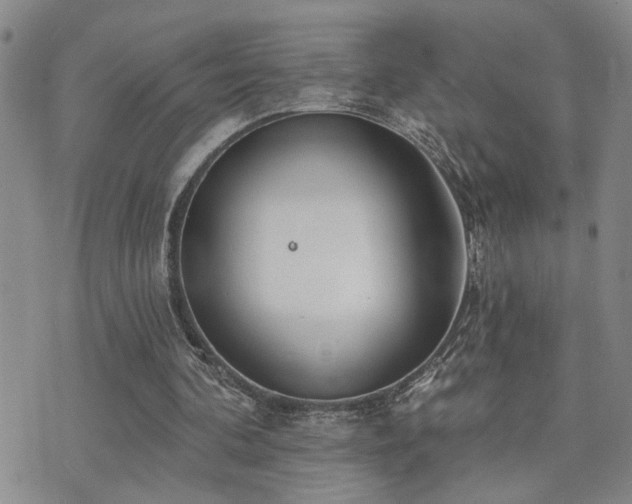 X0000073710292200608031246