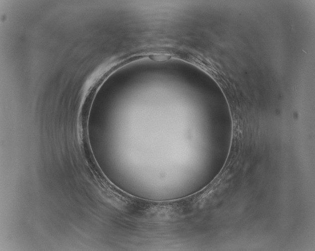 X0000073710294200608031246