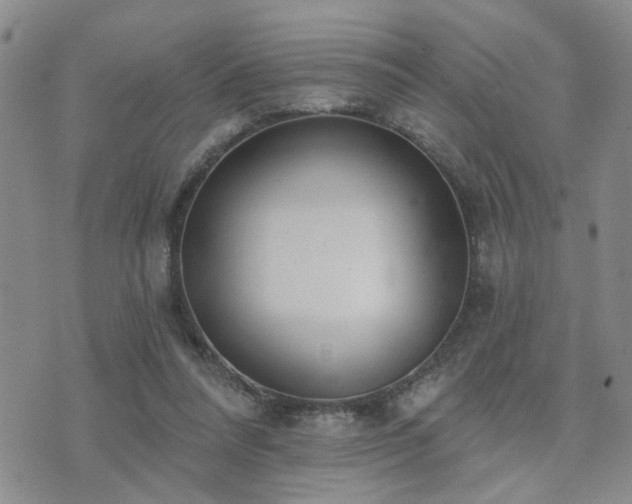 X0000073710304200608031246