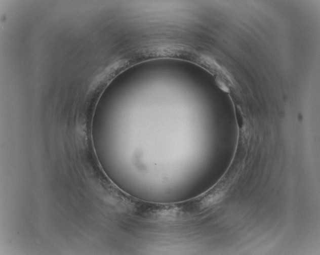 X0000073710306200608031246