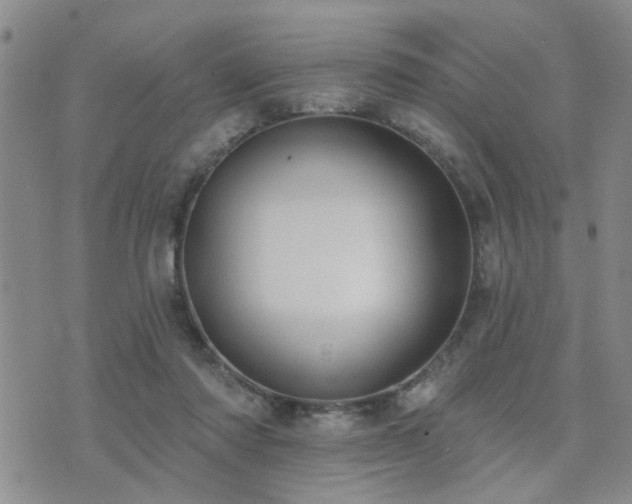 X0000073710310200608031246