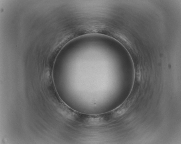 X0000073710314200608031246