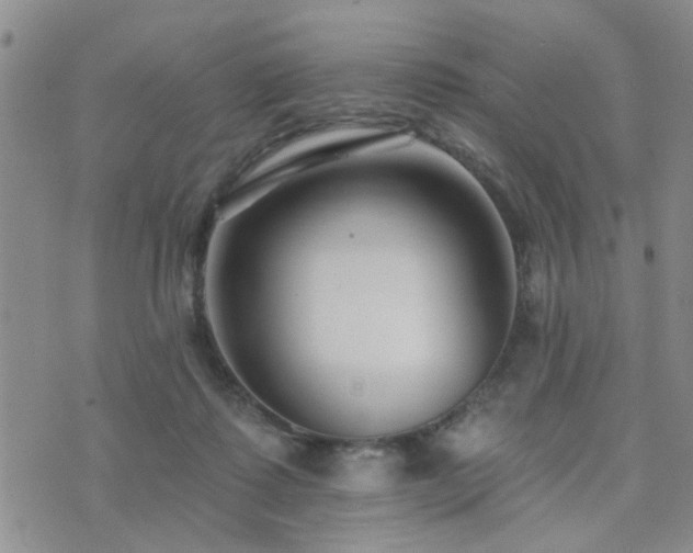 X0000073710315200608031246