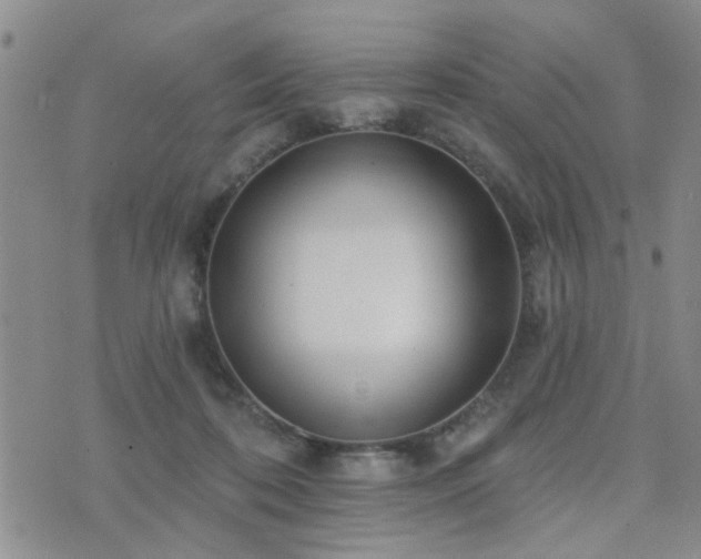 X0000073710316200608031246