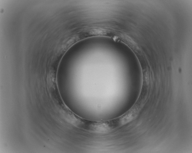 X0000073710322200608031246