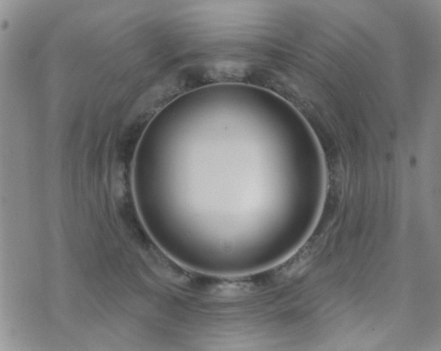 X0000073710323200608031246