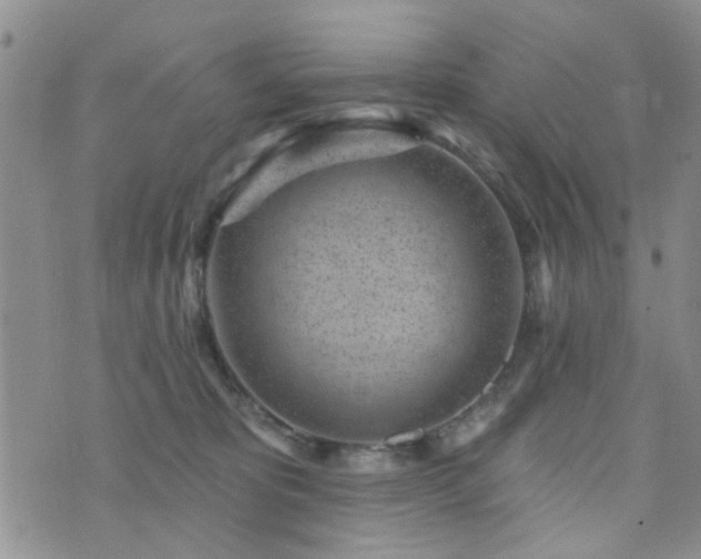 X0000073710325200608031246