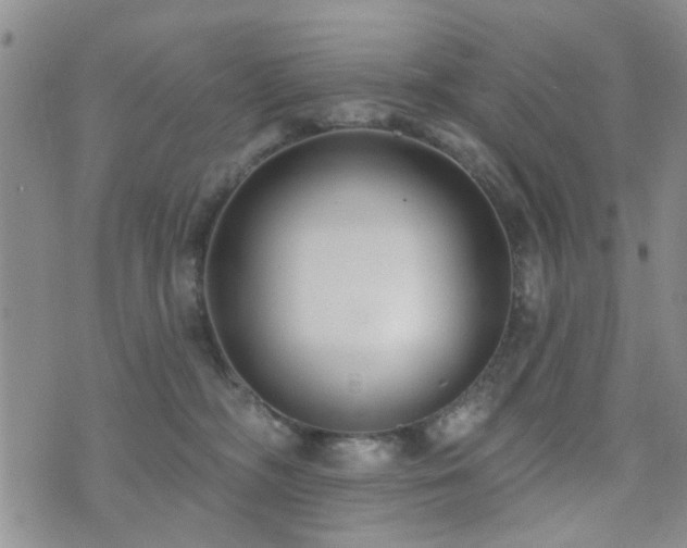 X0000073710326200608031246