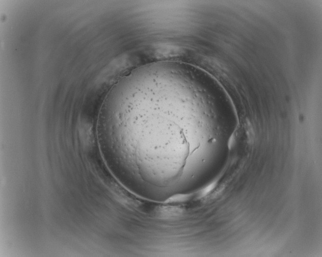 X0000073710327200608031246