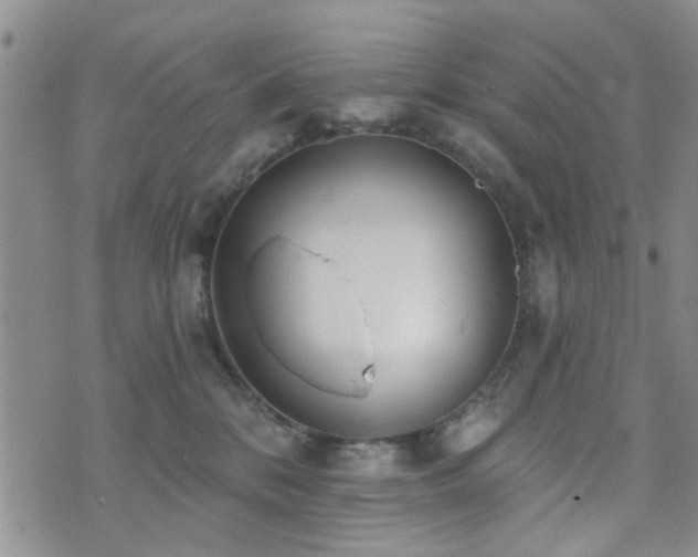 X0000073710328200608031246