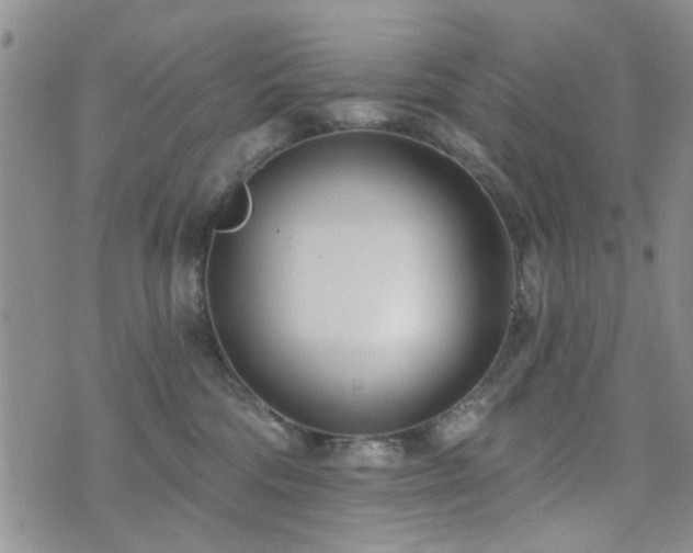 X0000073710330200608031246