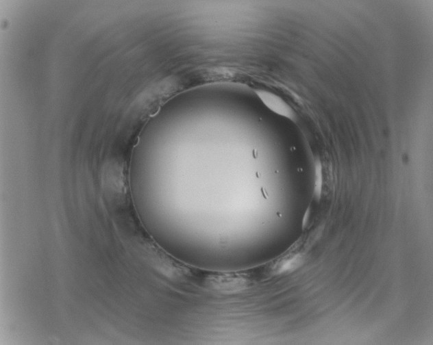 X0000073710331200608031246